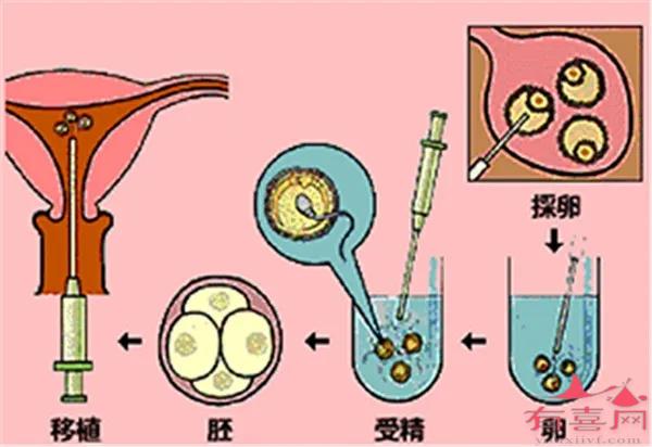 烟台借卵试管助孕全部费用明细-胚胎移植失败后多长时间可以再次移植
